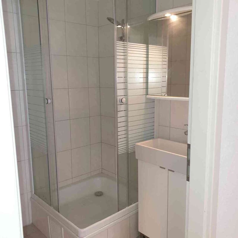 Appartement de 3.5 pièces au 1er étage (7)
