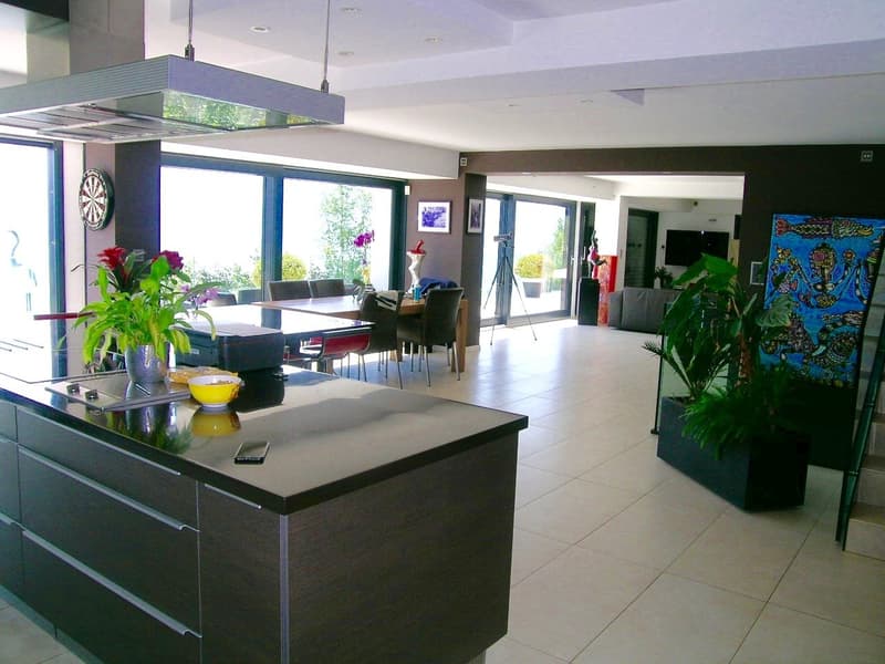 Spacious open-plan living area with kitchen, dining, and living room. Large windows provide natural light and access to a balcony or terrace. Modern kitchen with dark cabinets and countertops, and a dishwasher. Colorful artwork and plants add to the decor