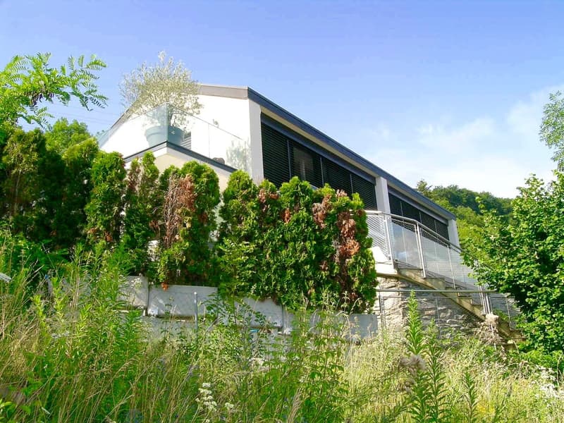 Modern house, white exterior, glass railings, surrounded by greenery, elevated ground floor