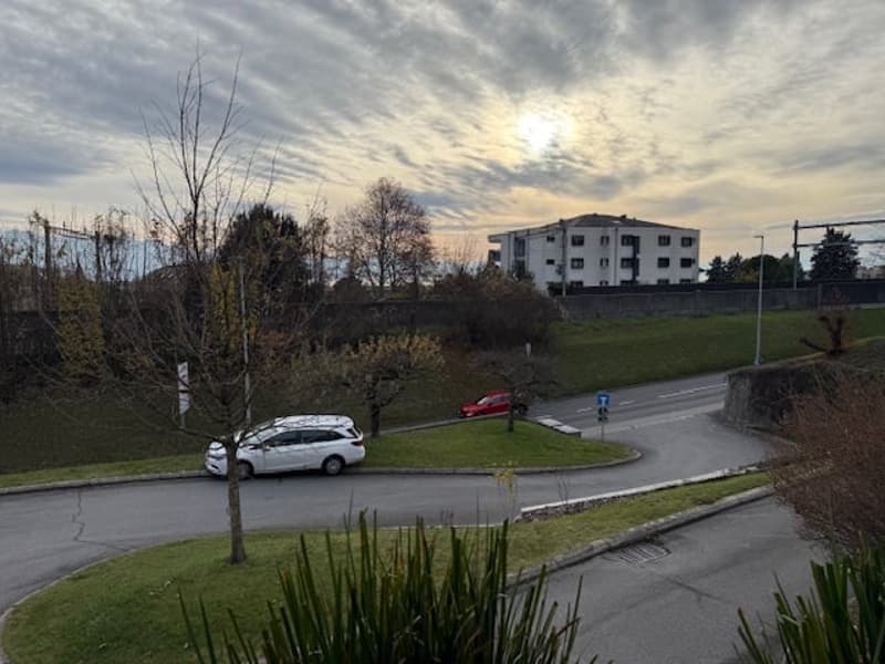 Residential street, 2 cars parked, white building in background, grassy area, trees, road