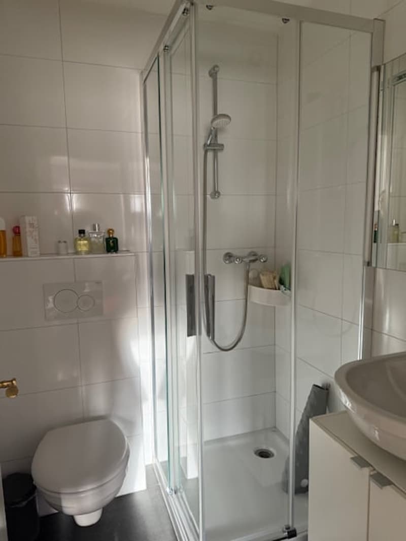 white tiled walls, glass shower stall, toilet, washbasin, shower head, trash bin