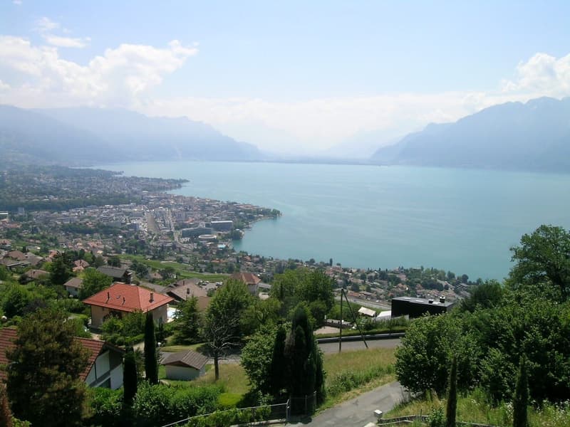 Aerial view of a town with houses, mountains, and a lake