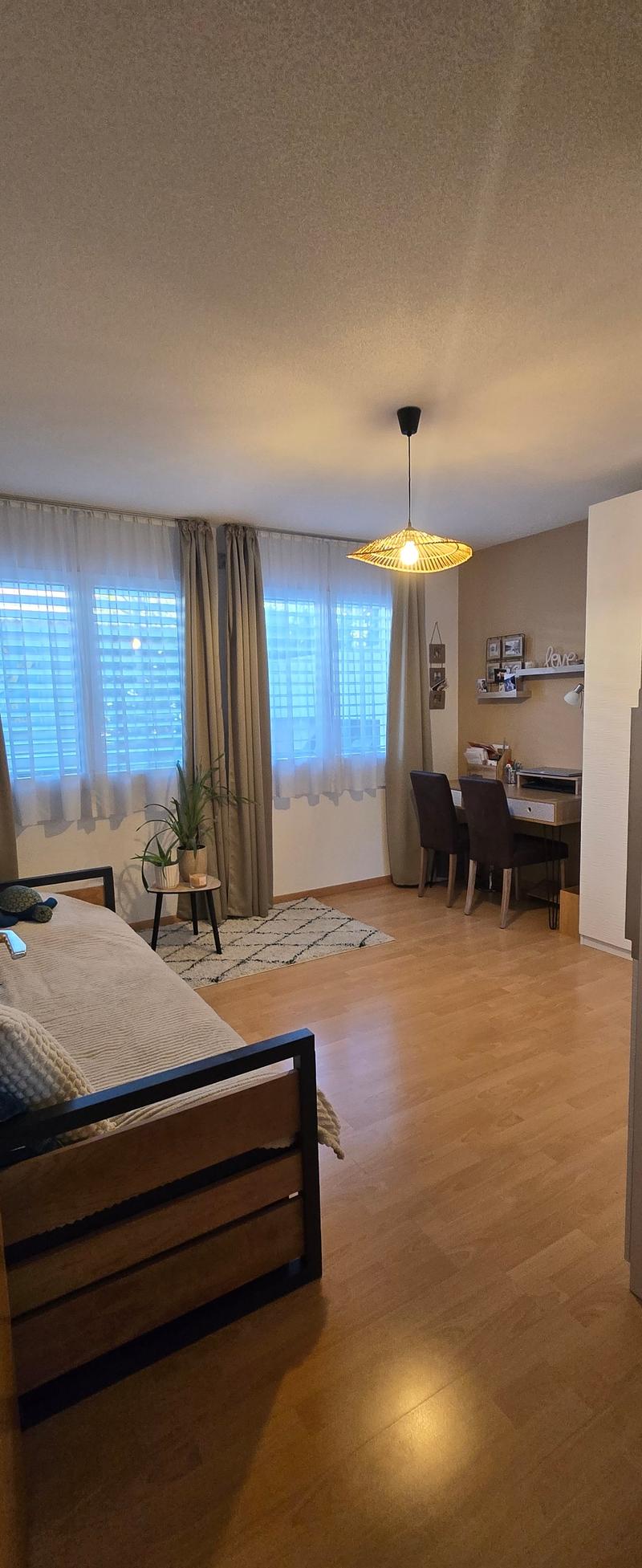 Coppet, appartement de 4,5 pièces avec jardin (8)