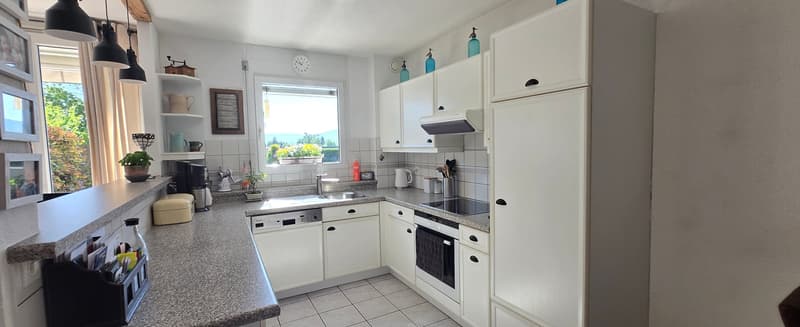 Coppet, appartement de 4,5 pièces avec jardin (7)
