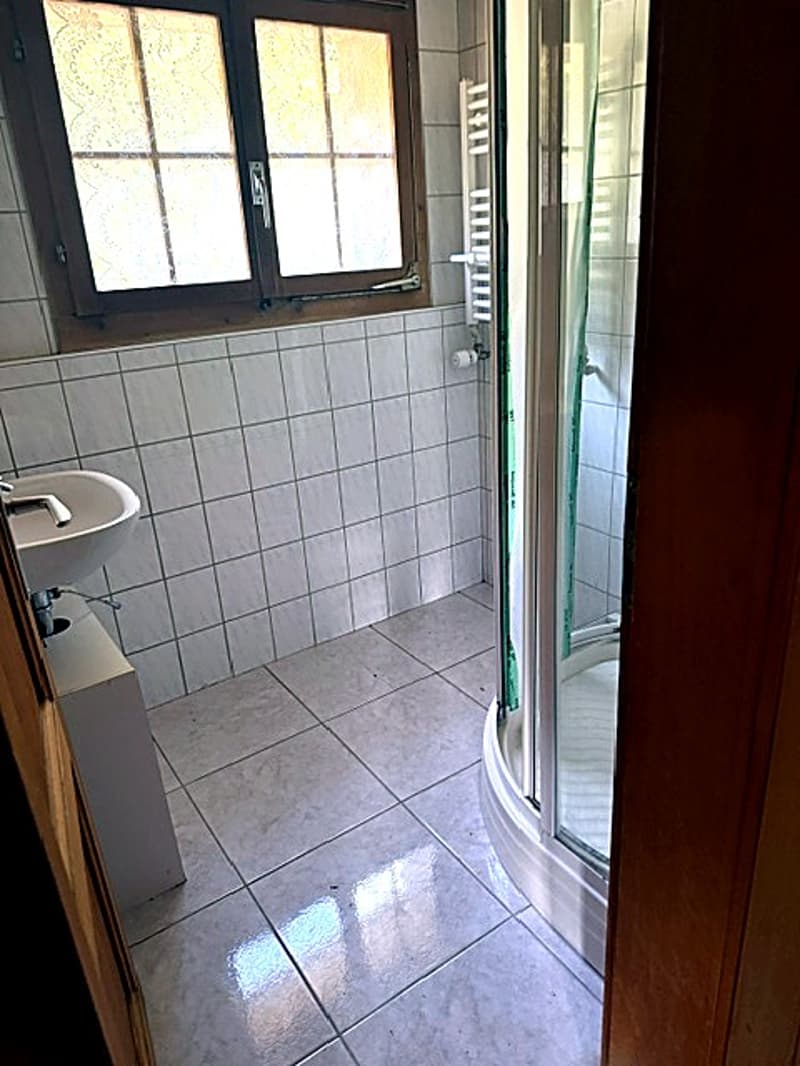 Les Mosses, Chalet individuel de 5.5 pièces à La Comballaz (8)
