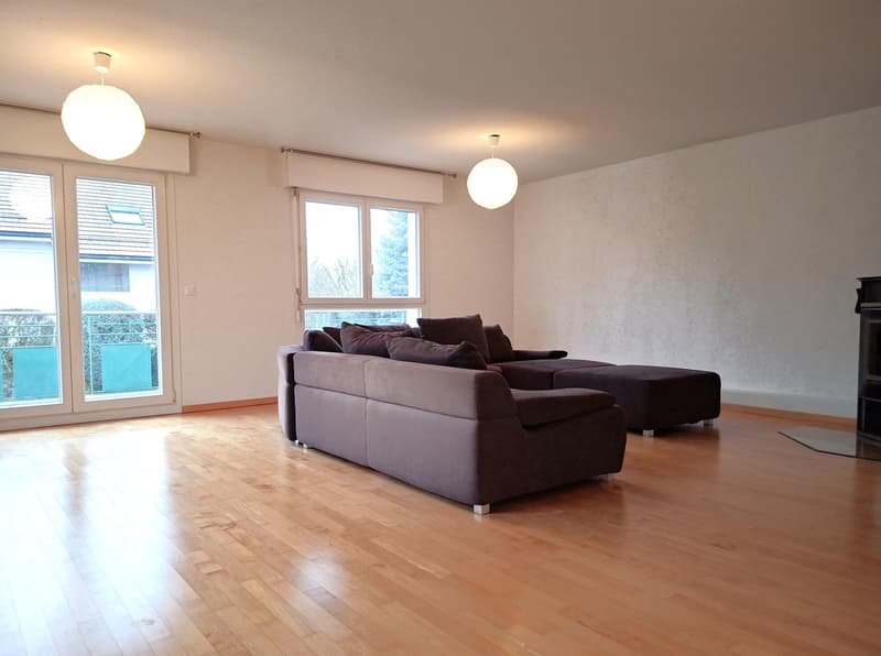 Schönes Doppelstockapartment mit 6 Zimmern in einem außergewöhnlichen Umfeld (2)