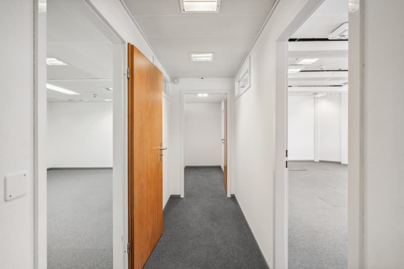 The building is served by 2 elevators, secure access and equipped with fiber optics. (7)
