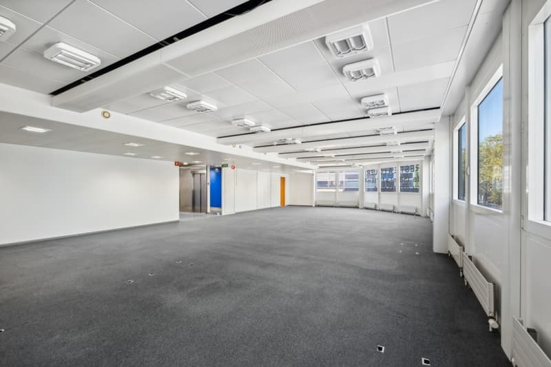 The building is served by 2 elevators, secure access and equipped with fiber optics. (11)