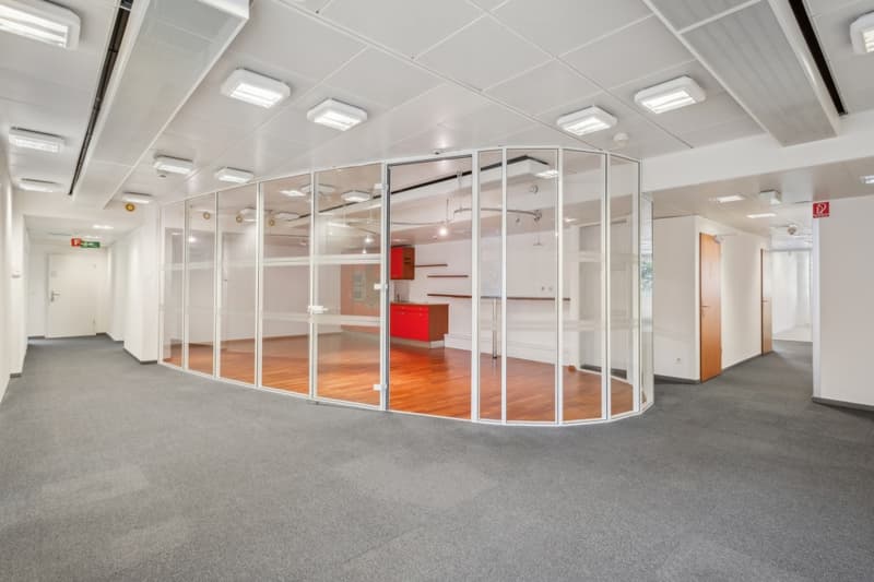 The building is served by 2 elevators, secure access and equipped with fiber optics. (4)