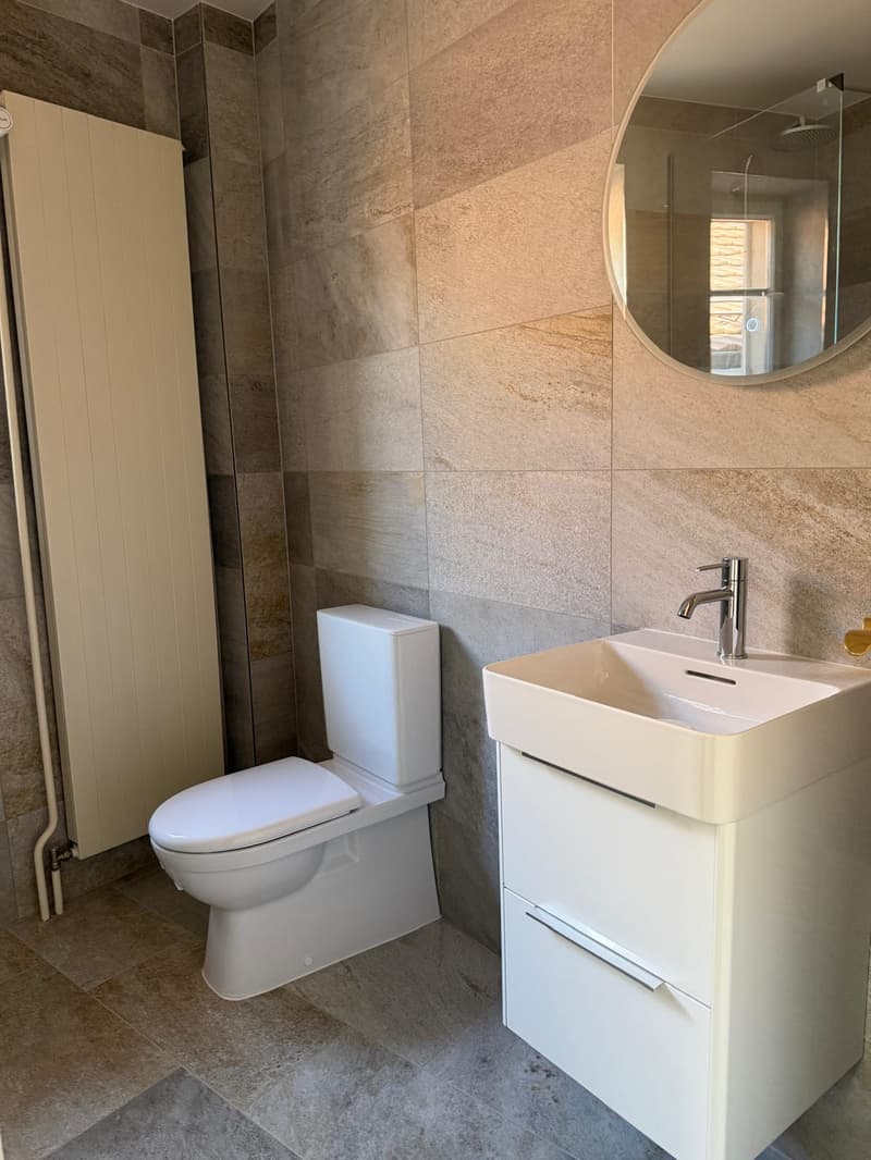 Situata nel cuore del borgo di Arare, questa casa di villaggio di 160 m2 completamente ristrutturata unisce allestimenti moderni e funzionali. (6)