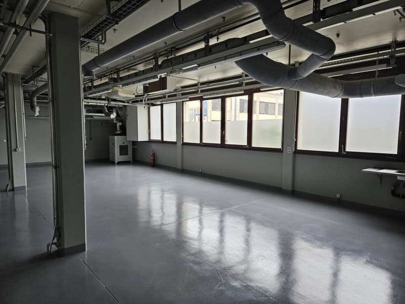 Local commercial en rez-de-chaussée, d'une surface de 266 m2. (1)