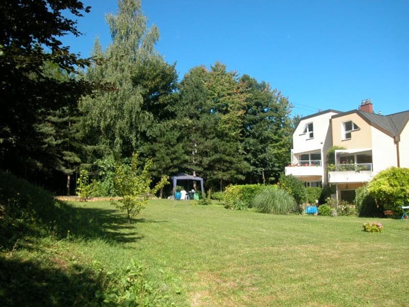 Beau duplex avec balcon offrant une vue sur le Léman et le Mont-Blanc. (3)