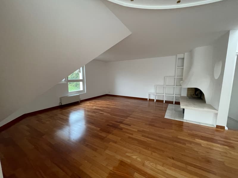 Beau duplex avec balcon offrant une vue sur le Léman et le Mont-Blanc. (4)