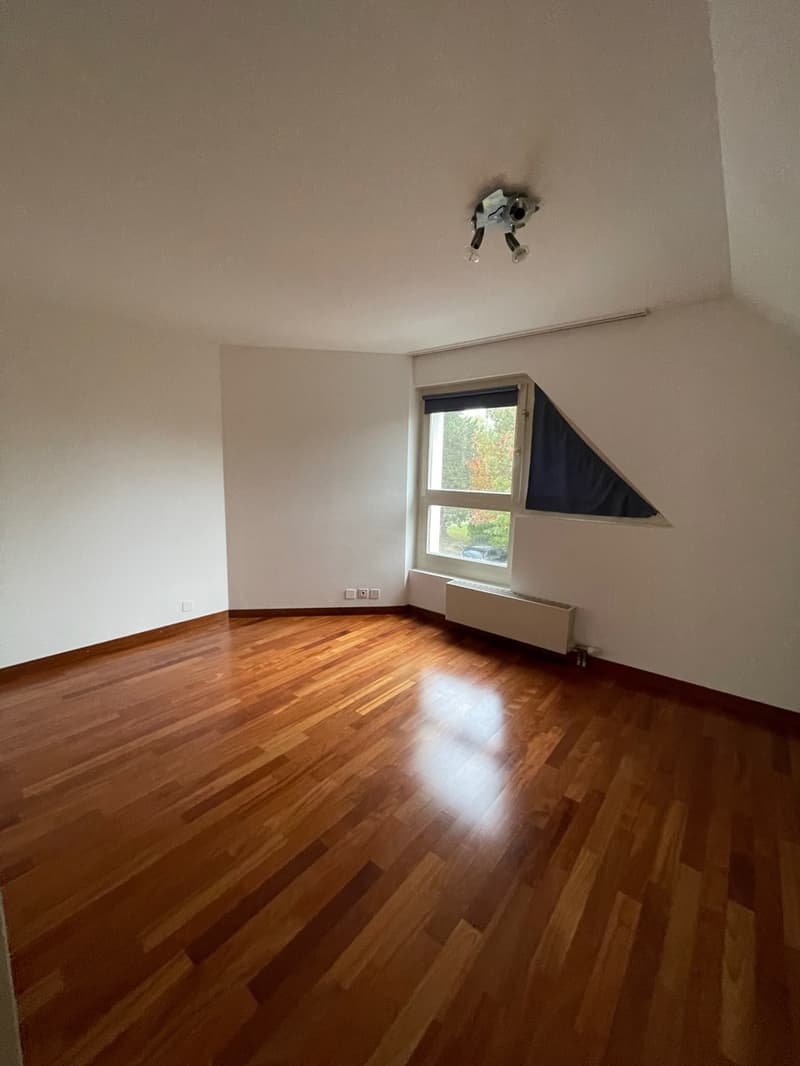 Beau duplex avec balcon offrant une vue sur le Léman et le Mont-Blanc. (10)