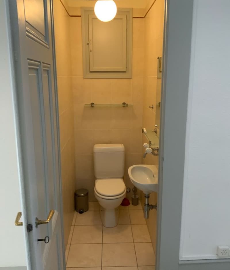 Très bel appartement de 4.5 pièces traversant d'environ 95 m2, jouissant du cachet de l'ancien (parquets anciens et moulures au plafond), situé au 5ème étage. (6)