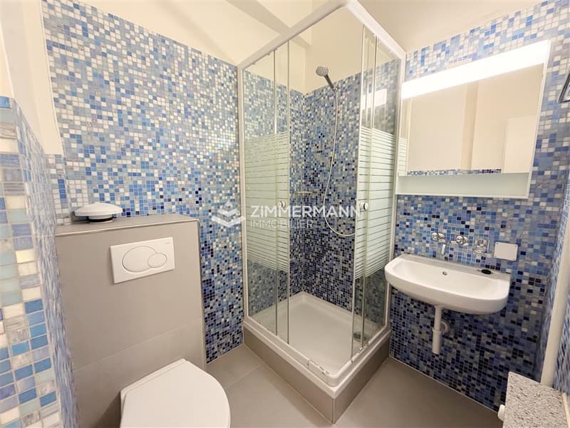 Salle de douche
