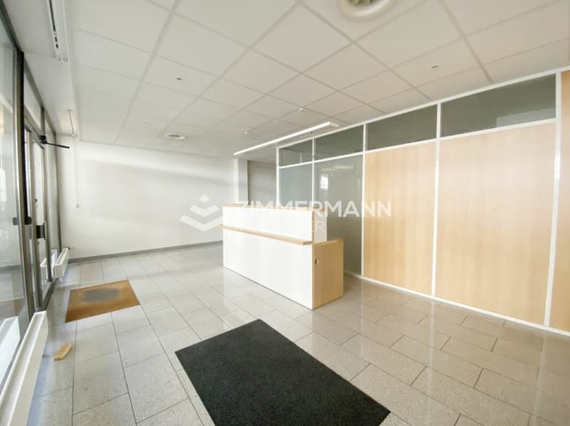 Schöne Arkade im Sécheron-Viertel (2)