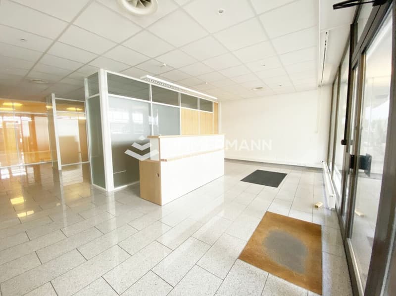 Schöne Arkade im Sécheron-Viertel (1)