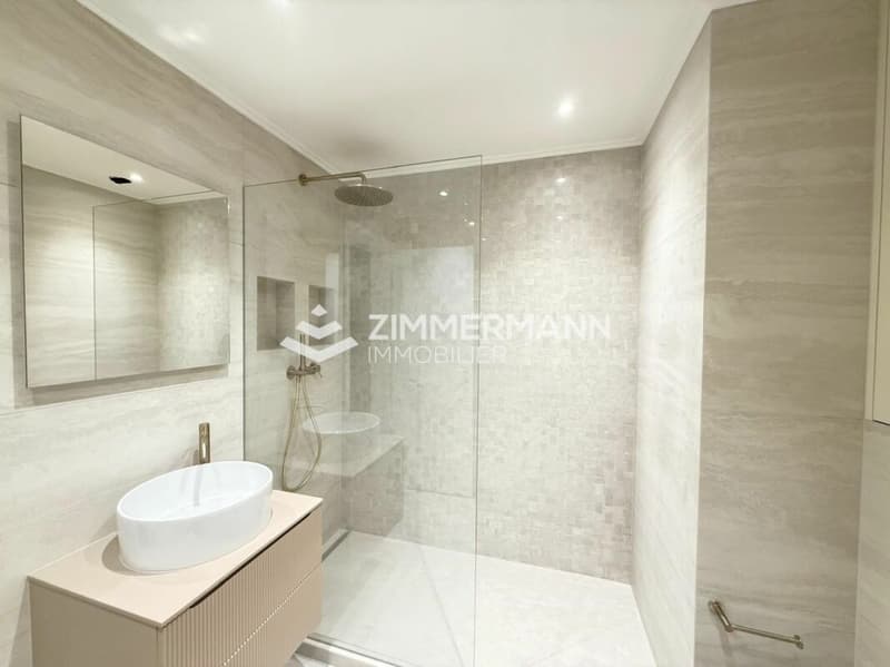 Schönes 3-Zimmer-Apartment im Herzen von Malagnou! (3)