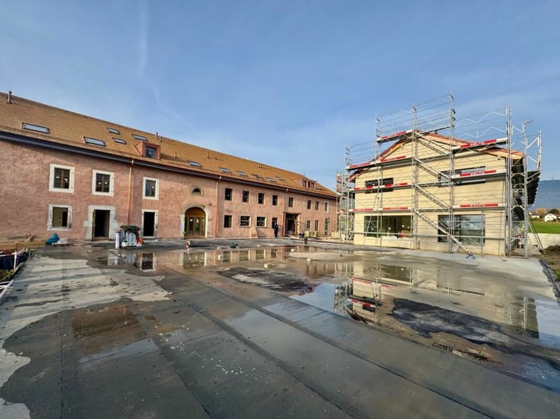 Appartamento attico soffitta 5 locali a Borex (3)