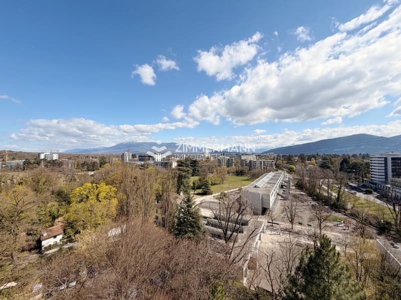2-room apartment in a high-end residence in Cologny - For sale (2)