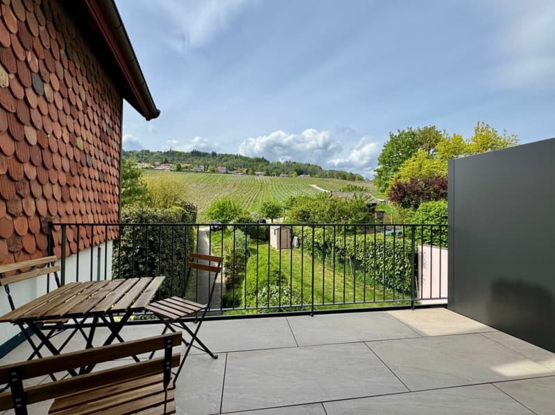 Charming apartment between vineyards and authenticity (2)
