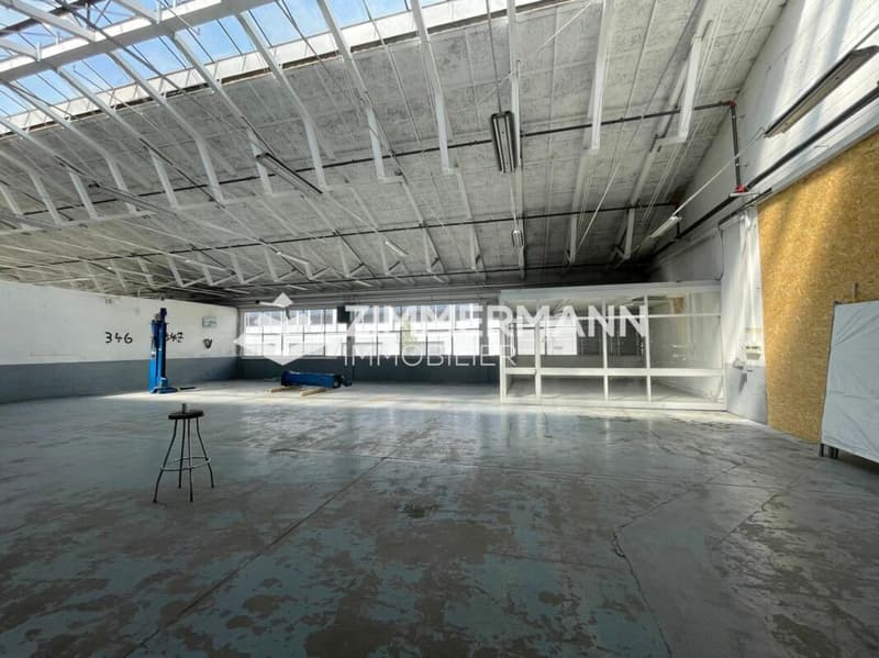 Grande surface industrielle de 1'020 m² avec surface extérieur à Meyrin (4)