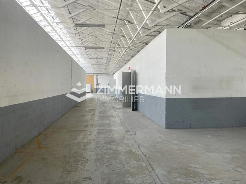 Grande surface industrielle de 1'020 m² avec surface extérieur à Meyrin (1)