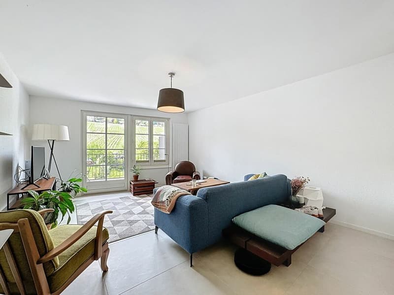 Charming apartment between vineyards and authenticity (11)