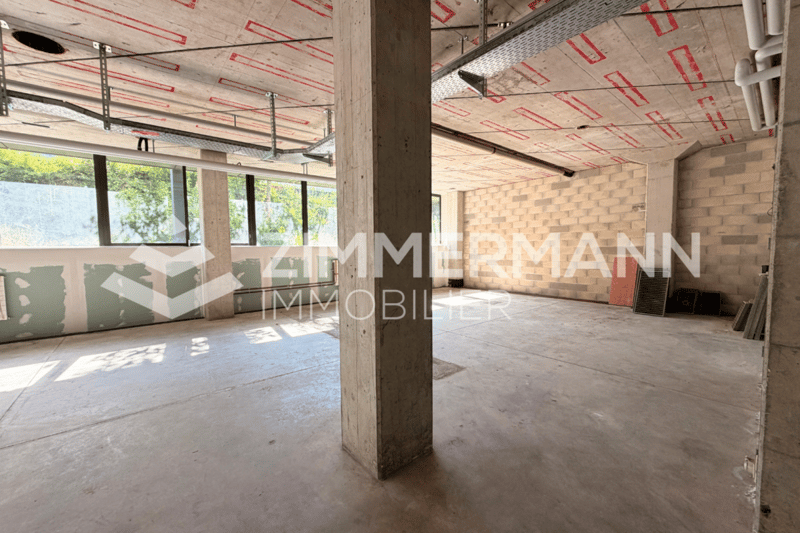 Large commercial space of 350 m² in Ecublens - A space with great potential for your activity (8)