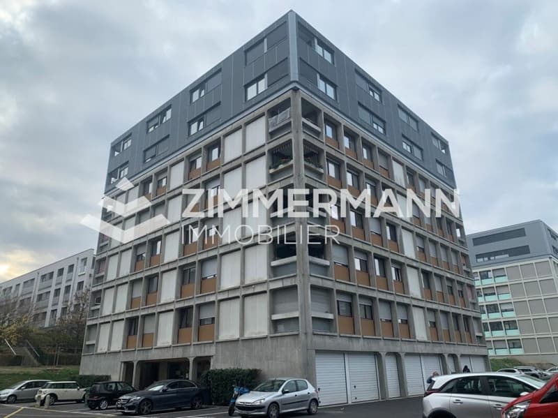 Appartamento di 3 locali a Châtelaine! (1)