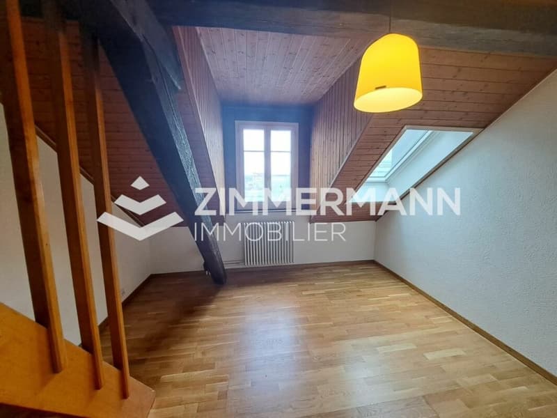 Studio-Dachgeschoss in Pâquis (1)