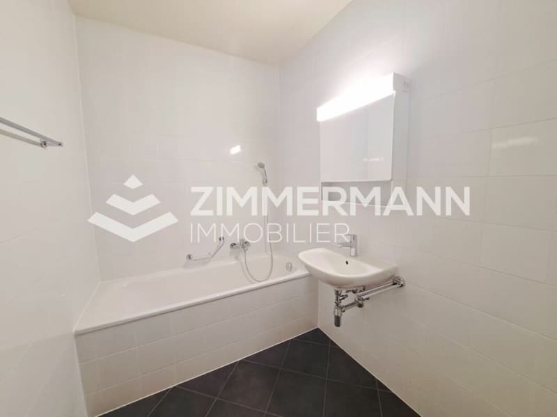 Schönes Apartment im Herzen von Vernier (4)