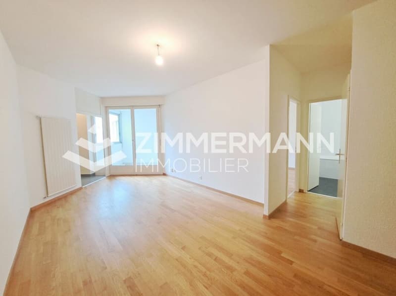 Schönes Apartment im Herzen von Vernier (2)