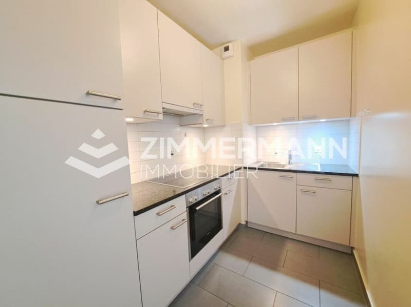 Schönes Apartment im Herzen von Vernier (3)