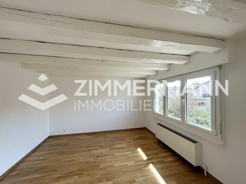 Schönes Apartment im Herzen von Founex! (4)