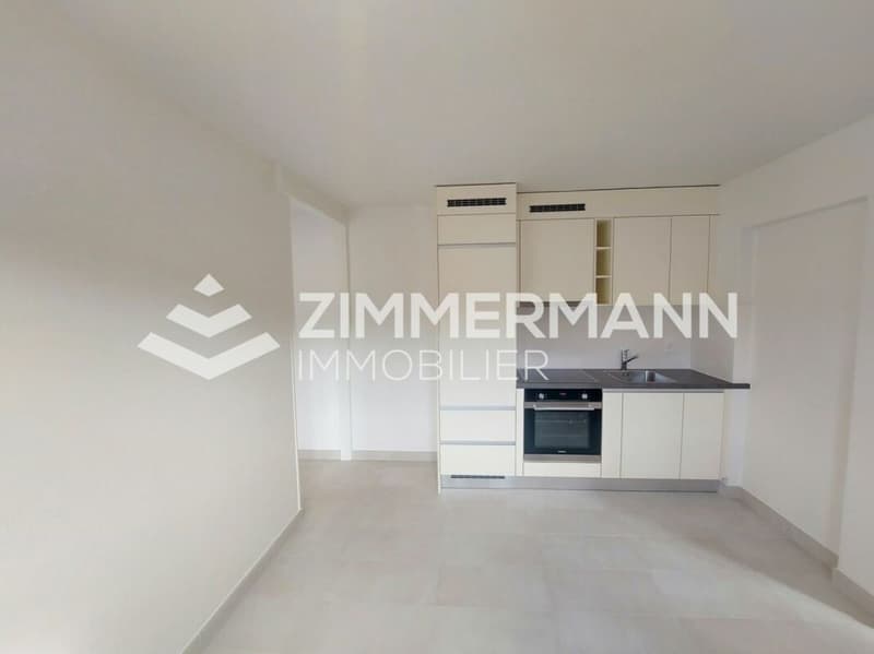 Schönes Apartment im Herzen von Founex! (3)