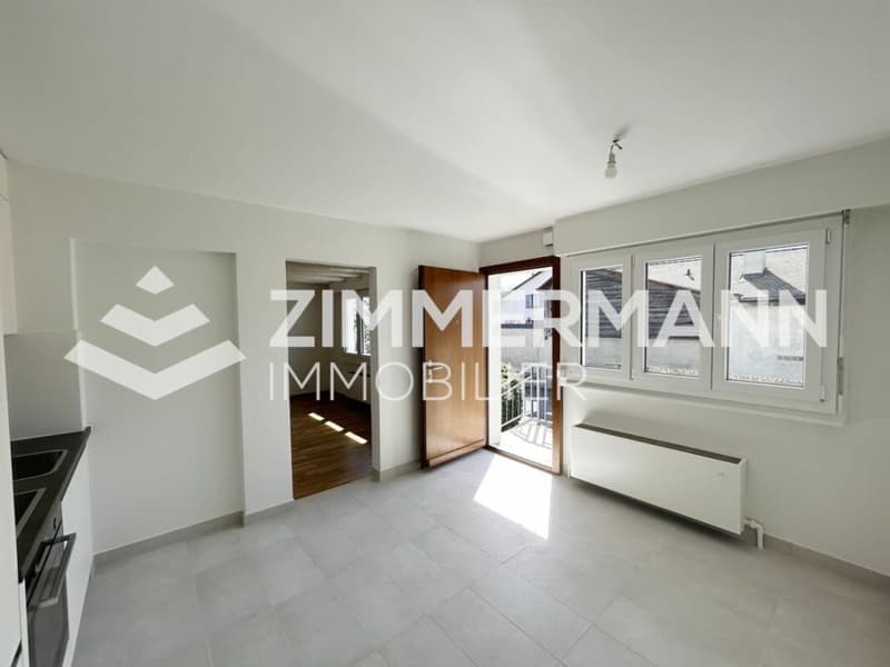 Schönes Apartment im Herzen von Founex! (2)