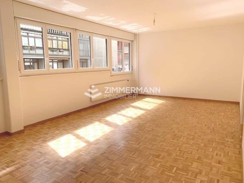 Eaux-Vives - Appartement 4 pièces ! (2)