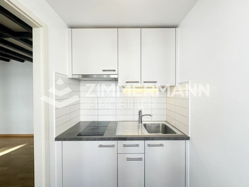 Old Carouge - Spacious studio with character! (3)