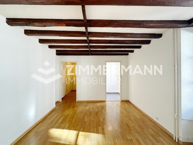 Old Carouge - Spacious studio with character! (1)