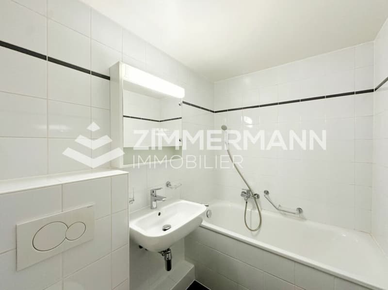 Old Carouge - Spacious studio with character! (5)