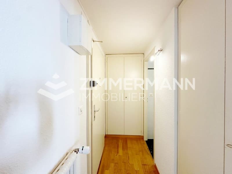 Old Carouge - Spacious studio with character! (2)