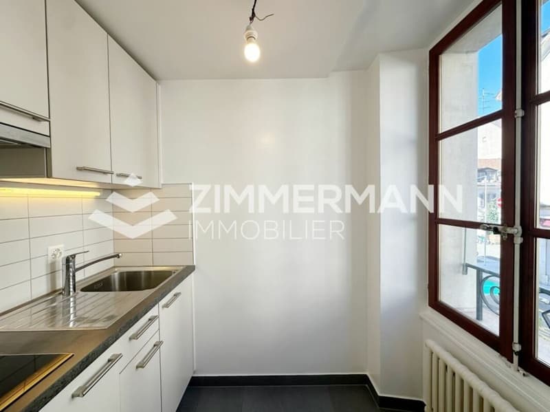 Old Carouge - Spacious studio with character! (4)