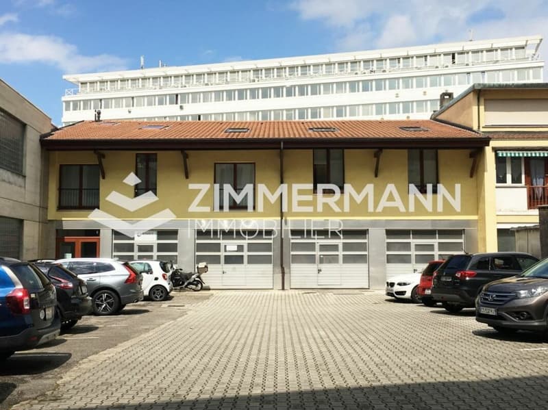 Loft à Carouge (1)