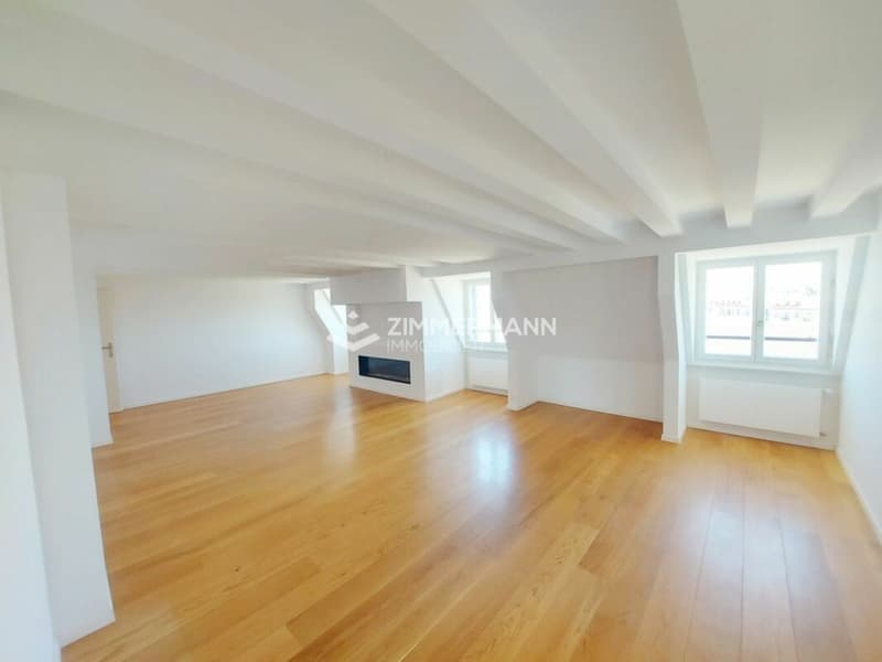 8 pièces avec Rooftop (4)