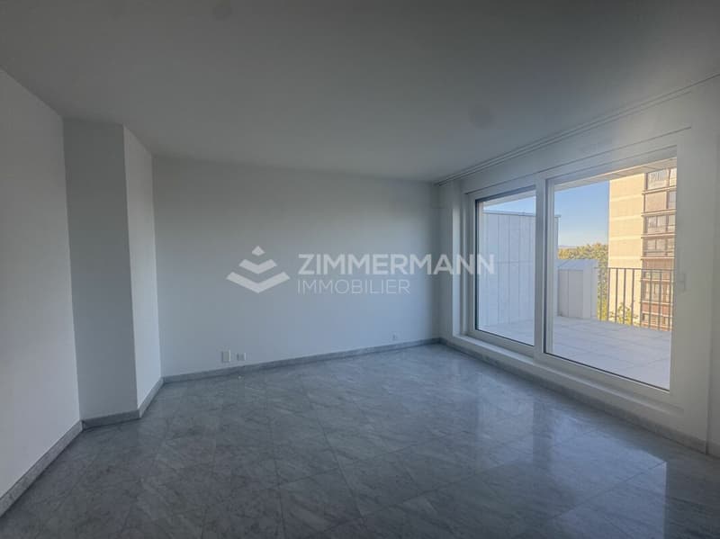 Superbe Attique Grange-Canal en Société Immobilière (SI) (7)