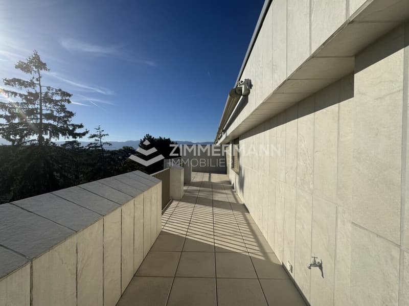 Superbe Attique Grange-Canal en Société Immobilière (SI) (3)