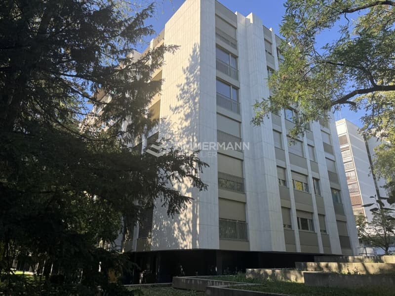 Superbe Attique Grange-Canal en Société Immobilière (SI) (10)