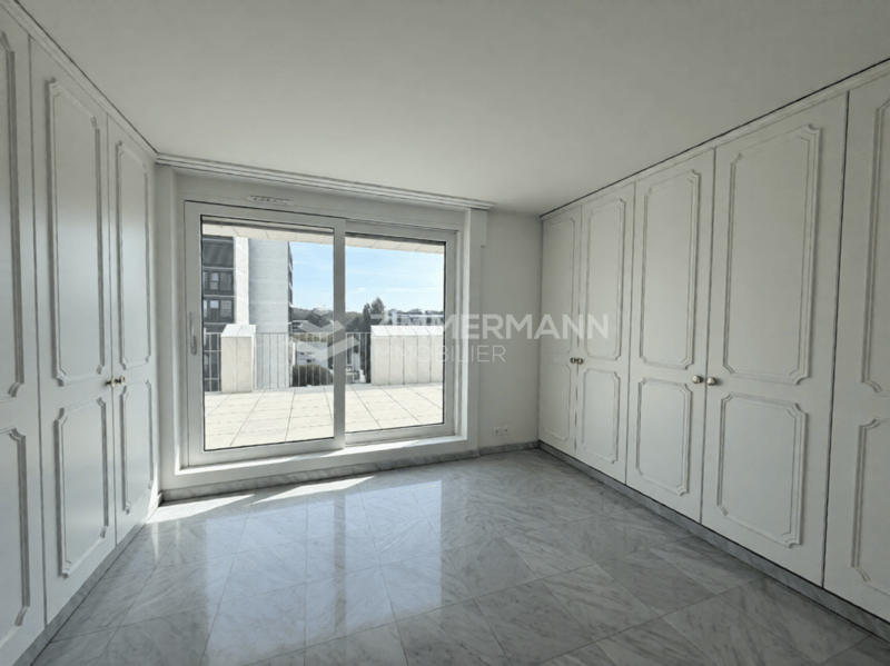Superbe Attique Grange-Canal en Société Immobilière (SI) (6)